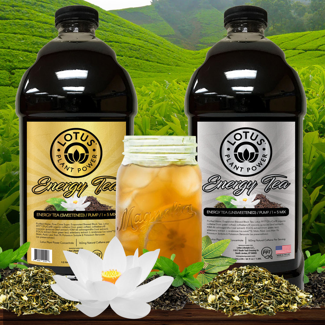 Lotus Super Tea Energy Concentrate 1/2 Gallon Pump and Serve Bottles